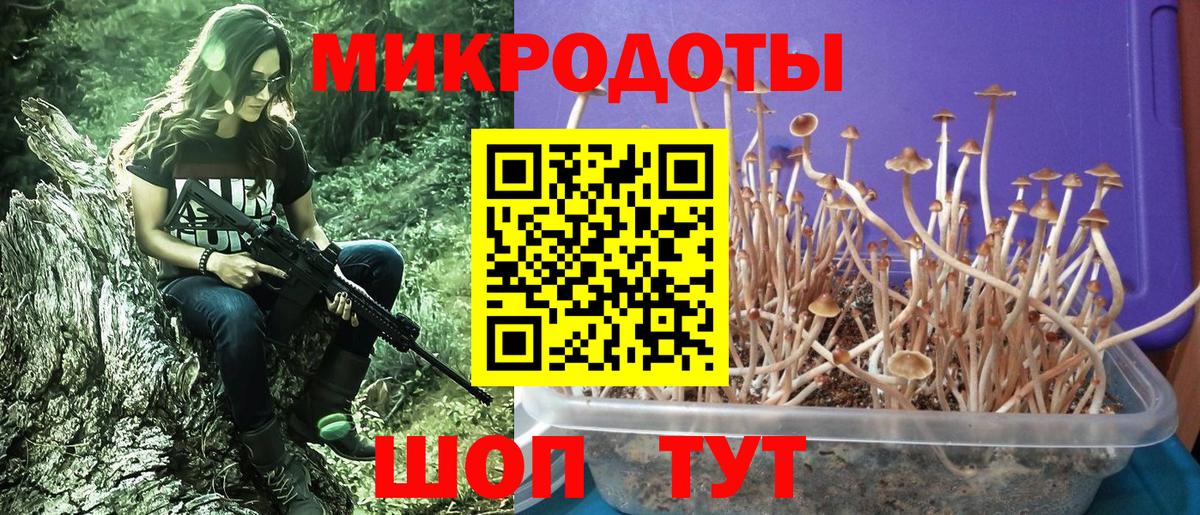 Великий Устюг  Галлюциногенные грибы ЛСД  Псилоцибиновые грибы Magic Shrooms  где можно купить наркотик  Вход с VPN 